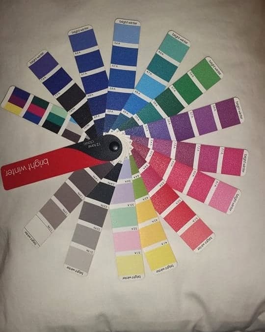 A twelve-tone fan of fabric color swatches, spread in a full wheel